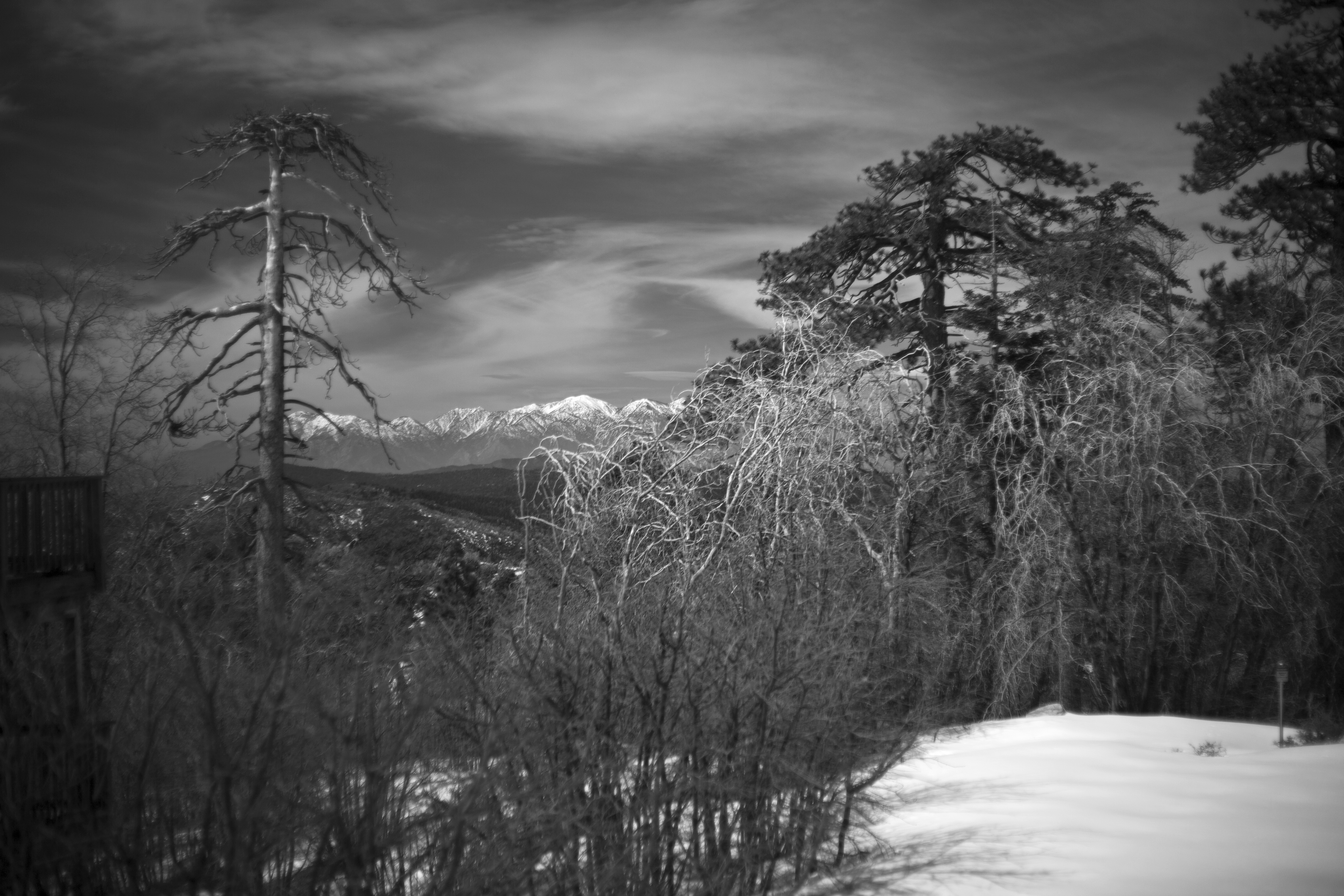 description of image 11